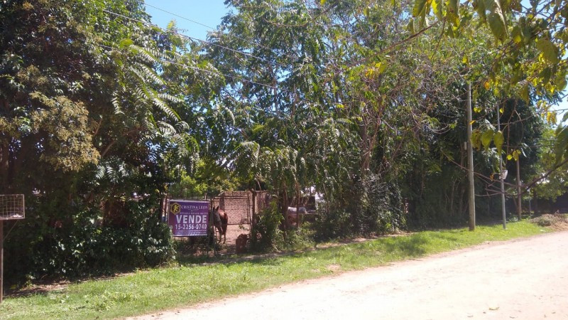 LOTE  340 M2.