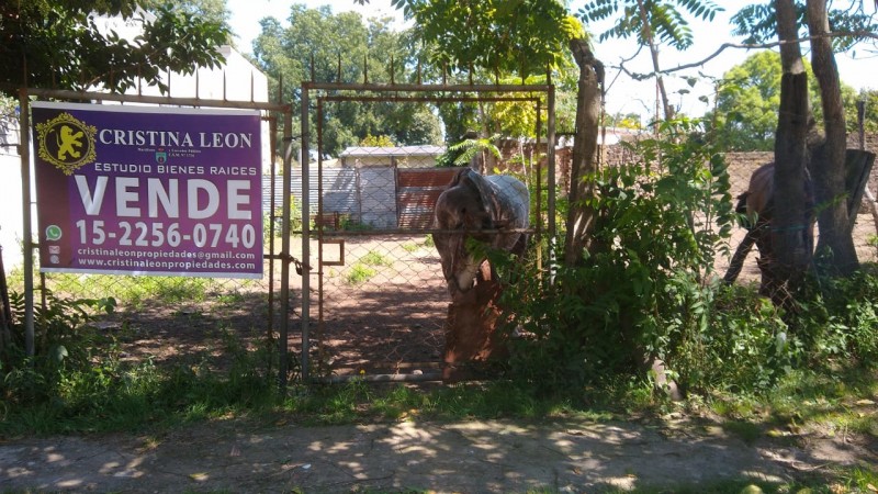 LOTE  340 M2.