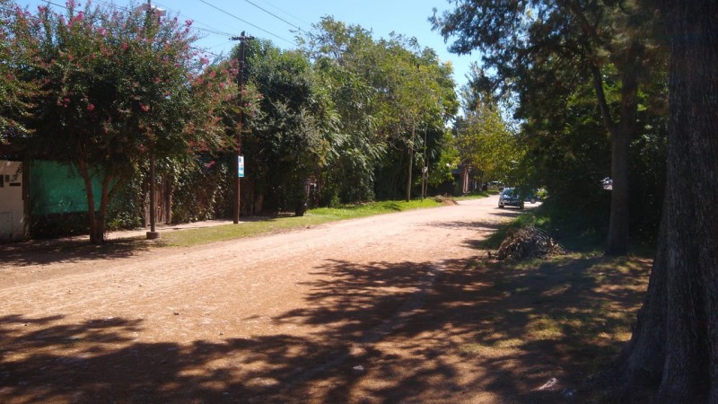 LOTE  340 M2.