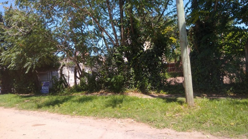 LOTE  300 M2. (BELLA VISTA)