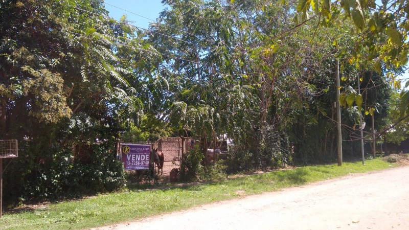 LOTE  300 M2. (BELLA VISTA)