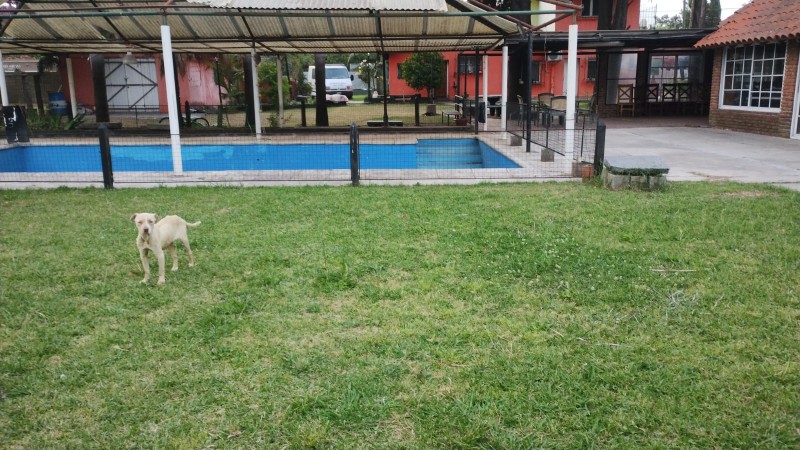 LOTE 550 M2. CON QUINCHO Y PISCINA