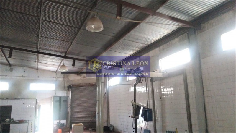 GALPON 290 M2 (TINGLADO)